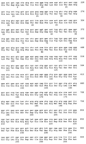 Гены grg23 и grg51, придающие устойчивость к гербицидам (патент 2393225)