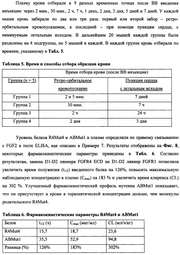 Мутеины кислотной зоны внеклеточного домена рецептора фактора роста фибробластов (патент 2509774)