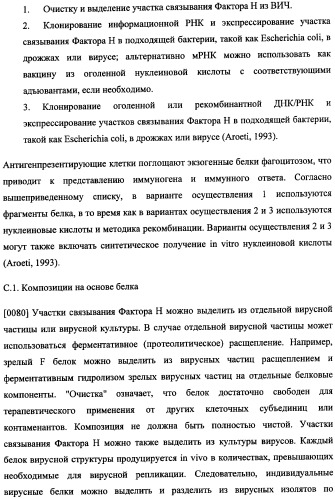 Иммуногенная композиция и способ разработки вакцины, основанной на участках связывания фактора н (патент 2364413)