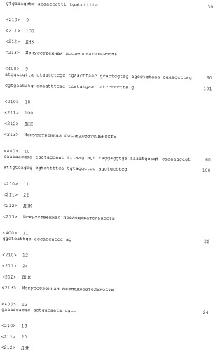 Бактерия escherichia coli для получения 1,2-пропандиола, способ ее получения, способ получения 1,2-пропандиола (патент 2407793)