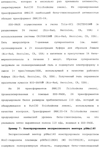 Клетка-хозяин trichoderma reesei для получения целлюлолитической белковой композиции, целлюлолитическая белковая композиция, способы ее получения и применения (патент 2494146)