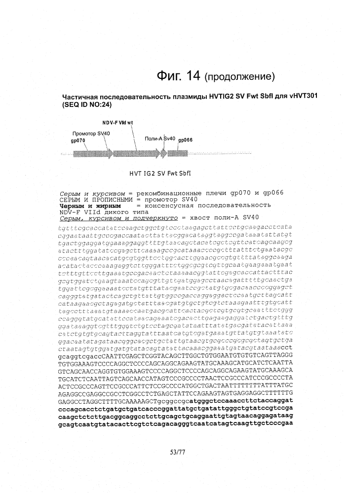 Рекомбинантные векторы hvt, экспрессирующие антигены патогенов птиц и их применение (патент 2620936)