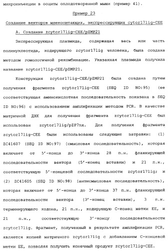 Новый лиганд рецептора цитокина zcytor17 (патент 2360923)