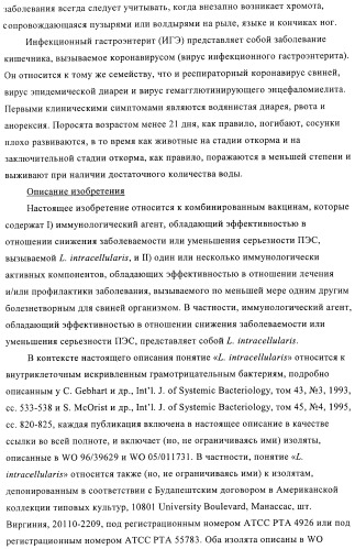 Иммуногенные композиции, содержащие lawsonia intracellularis (патент 2443430)