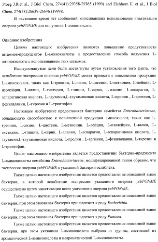 Способ получения l-треонина с использованием бактерии, принадлежащей к роду escherichia, в которой инактивирован оперон ycbponme (оперон ssueadcb) (патент 2392326)