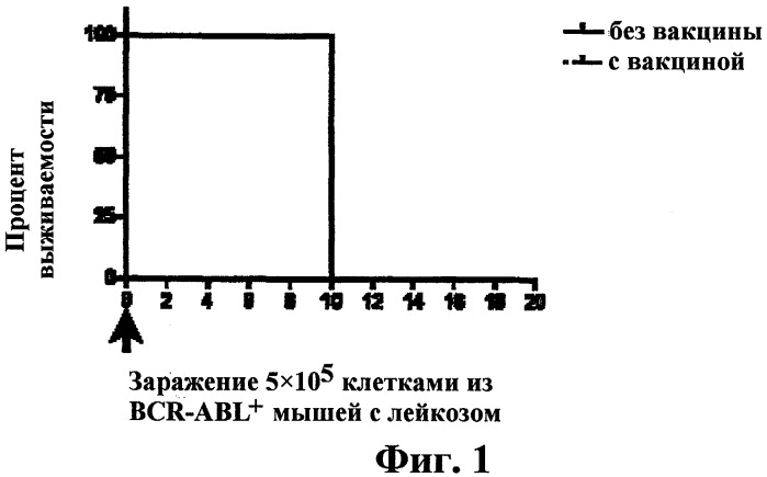 Композиции и способы направленного устранения мутационного ускользания в направленной терапии рака (патент 2505313)