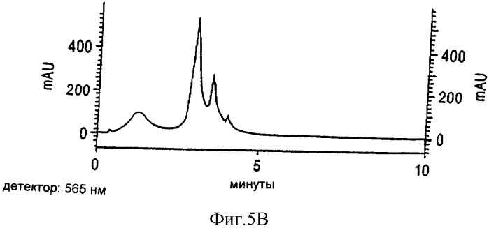 Способ и устройство для получения фикоэритрина с высокой оптической плотностью (патент 2315094)