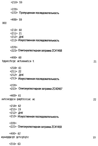 Новый лиганд рецептора цитокина zcytor17 (патент 2360923)