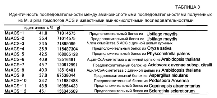 Полинуклеотид, кодирующий гомолог ацил-соа-синтетазы, и его применение (патент 2528248)