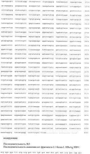 Рекомбинантная плазмида (варианты), штамм escherichia coli (варианты) - продуцент химерных белков, химерный белок (варианты), способ иммобилизации, концентрирования и очистки рекомбинантных белков на целлюлозе, способ иммобилизации рекомбинантных белков на полистирольных носителях (патент 2378371)