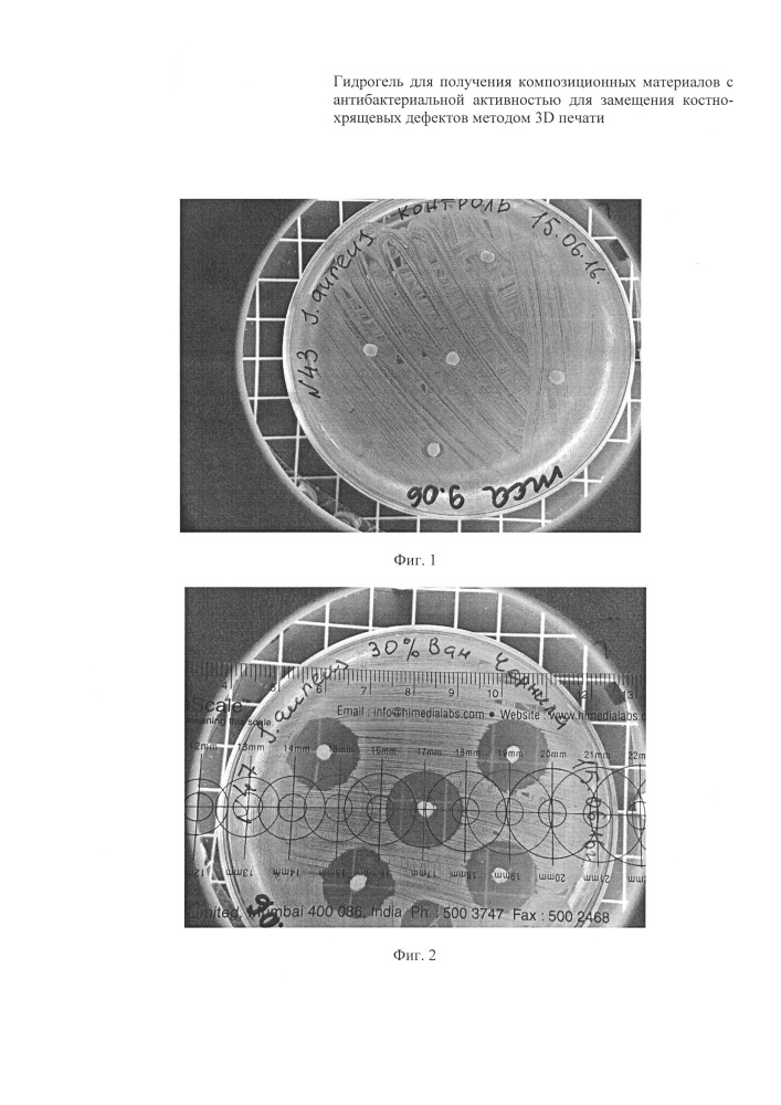 Гидрогель для получения композиционных материалов с антибактериальной активностью для замещения костно-хрящевых дефектов методом 3d печати (патент 2632431)