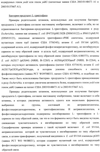 Способ конструирования оперонов, содержащих трансляционно сопряженные гены (патент 2411292)