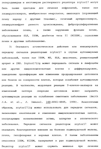 Новый лиганд рецептора цитокина zcytor17 (патент 2360923)