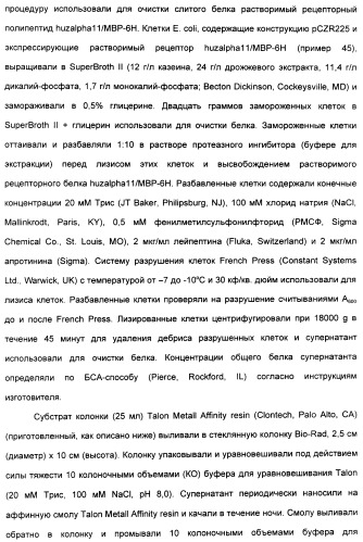 Выделенный полипептид, связывающий рецептор zalpha11-лиганда (варианты), кодирующий его полинуклеотид (варианты), вектор экспрессии (варианты) и клетка-хозяин (варианты) (патент 2346951)