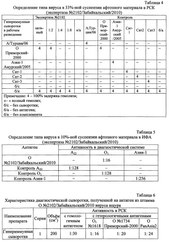 Штамм о №2102/забайкальский/2010 вируса ящура aphtae epizooticae типа о для контроля антигенной и иммуногенной активности противоящурных вакцин и для изготовления биопрепаратов для диагностики и специфической профилактики ящура типа о (патент 2563522)