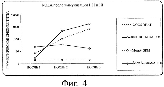 Иммуногены для вакцин против менингита а (патент 2412944)