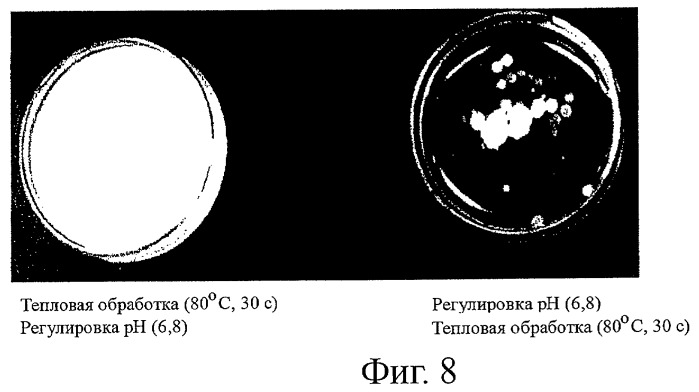 Устойчивая пена и способ ее производства (патент 2461223)