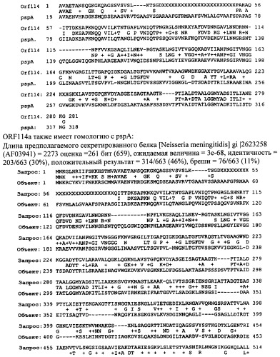 Антигены neisseria meningitidis (патент 2343159)