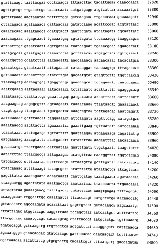 Бактериофаг, обладающий активностью против pseudomonas aeruginosa, белки бактериофага и способы их применения (патент 2580248)