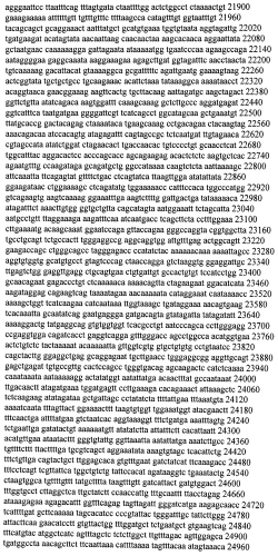 Модуляция экспрессии гентингтина (патент 2562861)