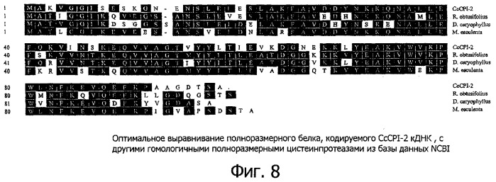 Модуляция уровня предшественников аромата кофе в сырых (необжаренных) кофейных зернах (патент 2348693)