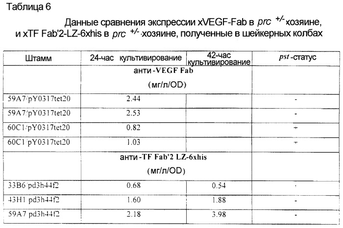 Бактерия е.coli, продуцирующая гетерологичный полипептид, и способ продуцирования полипептида (патент 2287574)