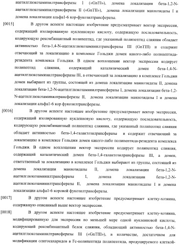 Конструкции слияния и их применение для получения антител с повышенными аффинностью связывания fc-рецептора и эффекторной функцией (патент 2407796)