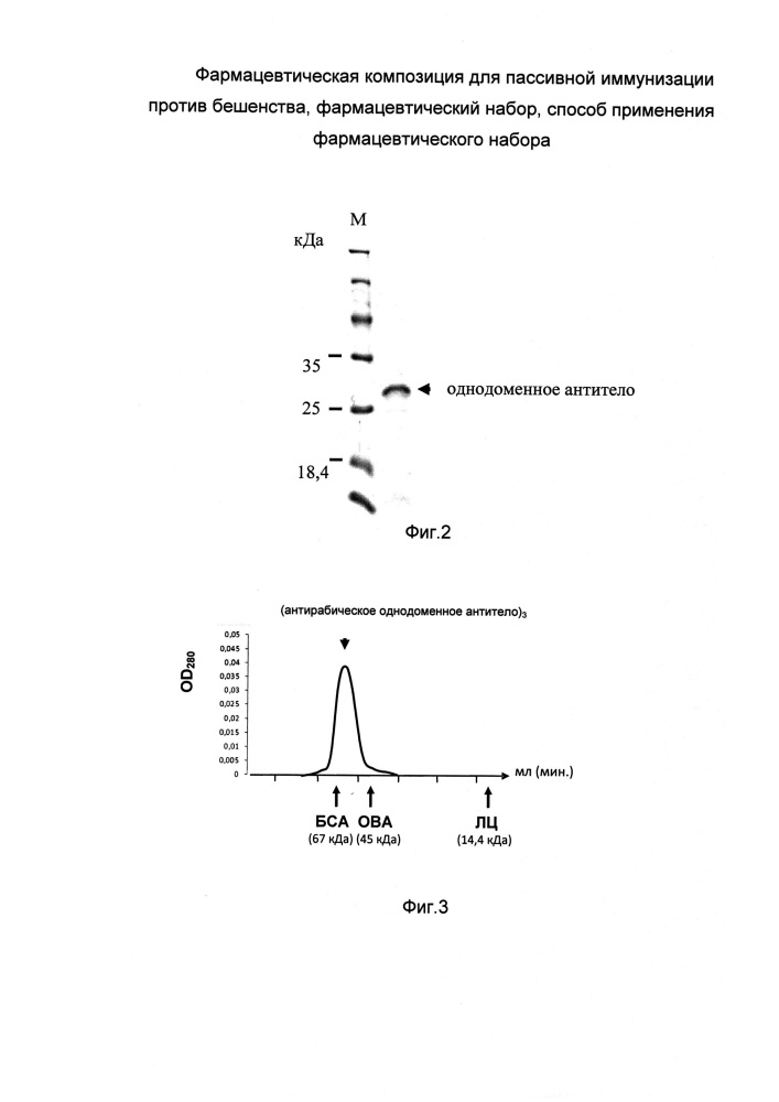 Фармацевтическая композиция для пассивной иммунизации против бешенства, фармацевтический набор, способ применения фармацевтического набора (патент 2661028)