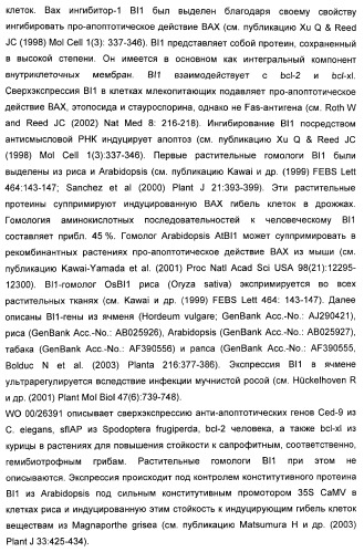 Способ повышения стойкости к стрессовым факторам в растениях (патент 2375452)