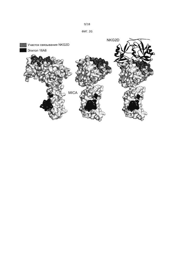 Связывающие mica агенты (патент 2656183)