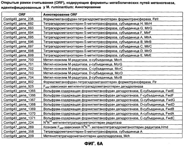 Вакцины и компоненты вакцин для подавления микробных клеток (патент 2528854)