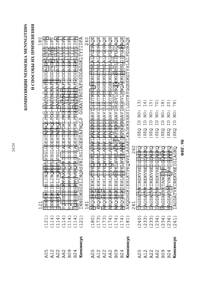Композиции neisseria meningitidis и способы их применения (патент 2665841)