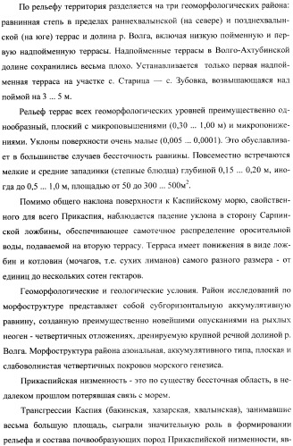 Способ прогнозирования семенной продуктивности солодки (патент 2364078)