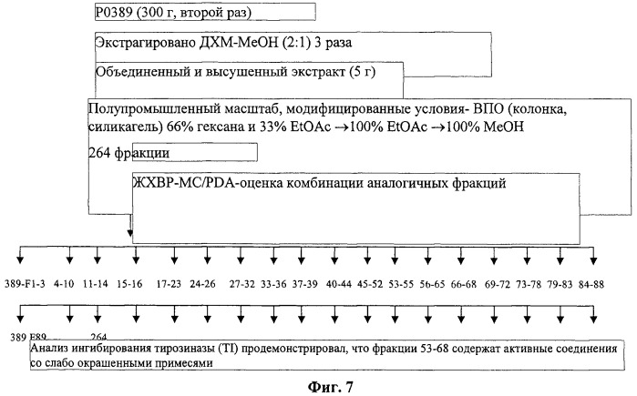 Диарилалканы в качестве эффективных ингибиторов двухъядерных ферментов (патент 2466981)