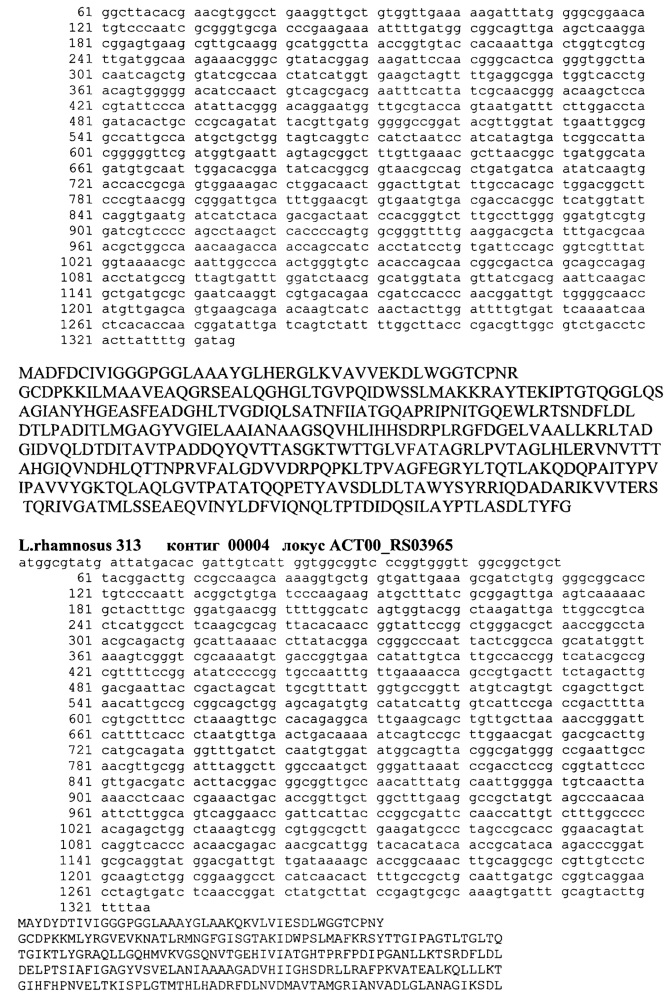Штаммы lactobacillus brevis и lactobacillus rhamnosus с установленной последовательностью генома, синтезирующие глутатион и комплекс внутриклеточных антиоксидантов (патент 2617946)