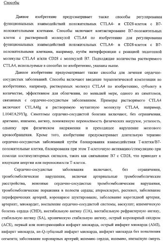 Способ лечения сердечно-сосудистого заболевания с применением растворимого ctla4 (патент 2353384)