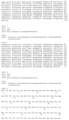 Мутантный термолабильный энтеротоксин e.coli (патент 2441879)