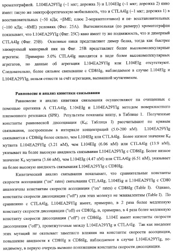 Способ лечения сердечно-сосудистого заболевания с применением растворимого ctla4 (патент 2353384)