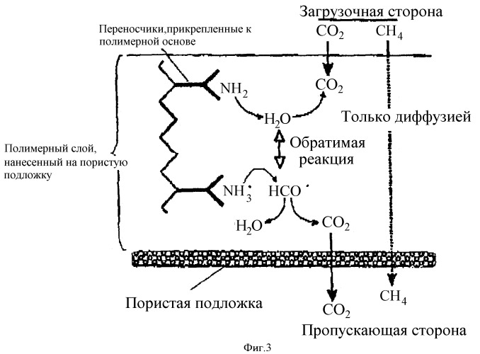 Мембрана для отделения co2 и метод ее получения (патент 2388527)