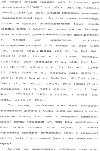 Scfv против egfrviii с улучшенной цитотоксичностью и выходом, иммунотоксины на их основе и способы их применения (патент 2317999)