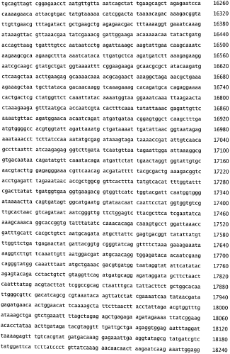 Бактериофаг, обладающий активностью против pseudomonas aeruginosa, белки бактериофага и способы их применения (патент 2580248)