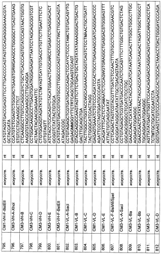 Pscaxcd3, cd19xcd3, c-metxcd3, эндосиалинxcd3, epcamxcd3, igf-1rxcd3 или fap-альфаxcd3 биспецифическое одноцепочечное антитело с межвидовой специфичностью (патент 2547600)