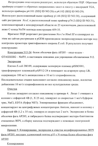 Вирусоподобные частицы, включающие гибридный белок белка оболочки бактериофага ар205 и антигенного полипептида (патент 2409667)