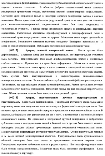Гиалуронидаза и способ ее применения (патент 2471867)