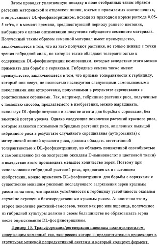 Способ избирательного получения растений с мужской или женской стерильностью (патент 2320722)