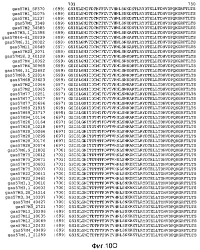 Мутантные антигены gas57 и антитела против gas57 (патент 2471497)