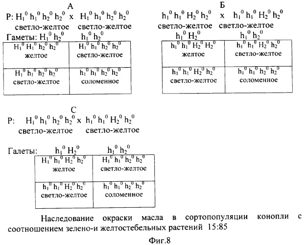 Способ определения генетической структуры популяции конопли (патент 2324337)