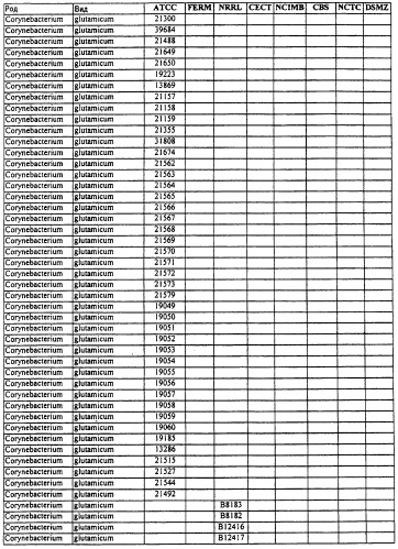 Гены corynebacterium glutamicum, кодирующие белки метаболических путей (патент 2306339)