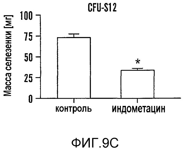 Способ стимулирования экспансии гематопоэтических стволовых клеток (патент 2493252)