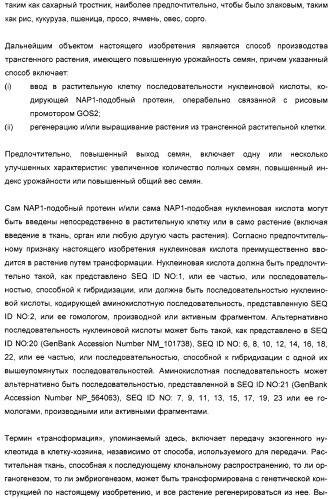 Способ повышения выхода семян растения, способ производства трансгенного растения, имеющего повышенную урожайность семян, генная конструкция для экспрессии в растении и трансгенное растение (патент 2409938)